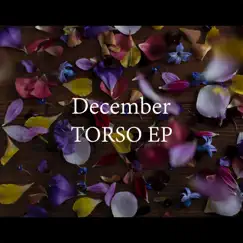 TORSO EP by December album reviews, ratings, credits