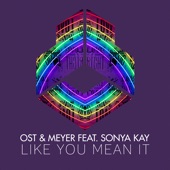 Like You Mean It (feat. Sonya Kay) artwork