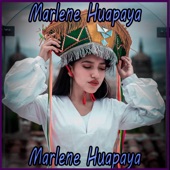 Marlene Huapaya artwork