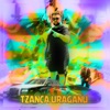 Te Iubesc Roxana - Single