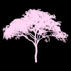 Pink Tree (feat. Cian P) Song Lyrics