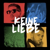 Keine Liebe artwork