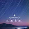 star trail - Single album lyrics, reviews, download