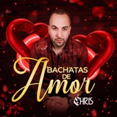 Bachatas de Amor artwork