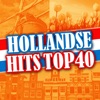 Hollandse Hits Top 40, 2013