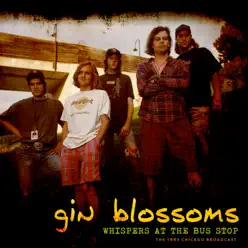 Whispers At the Bus Stop (Live 1993) - Gin Blossoms