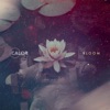 Bloom - EP