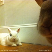 Run Rabbit Run artwork