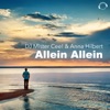 Allein allein (Remixes) - EP