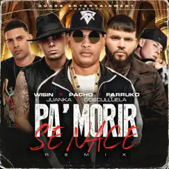 Pa' Morir Se Nace (feat. Wisin, Juanka) [Remix] Song Lyrics