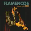 Flamencos del 2000 album lyrics, reviews, download