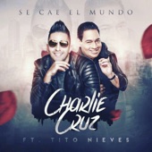 Se Cae el Mundo (feat. Tito Nieves) artwork