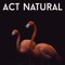 Act Natural - Baize lyrics