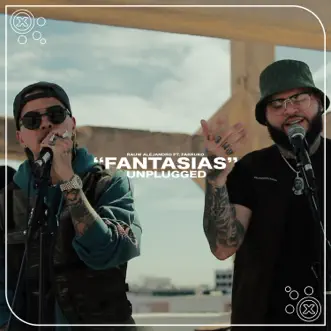 Fantasías (Unplugged) by Rauw Alejandro & Farruko song reviws