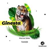 Ginesta artwork