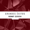 Grandes Éxitos