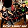 Somos Prohibidos - Single