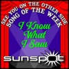 Sunspot - I Know What I Saw