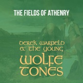 The Fields of Athenry artwork