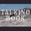 Talking Book - Blood Aurora
