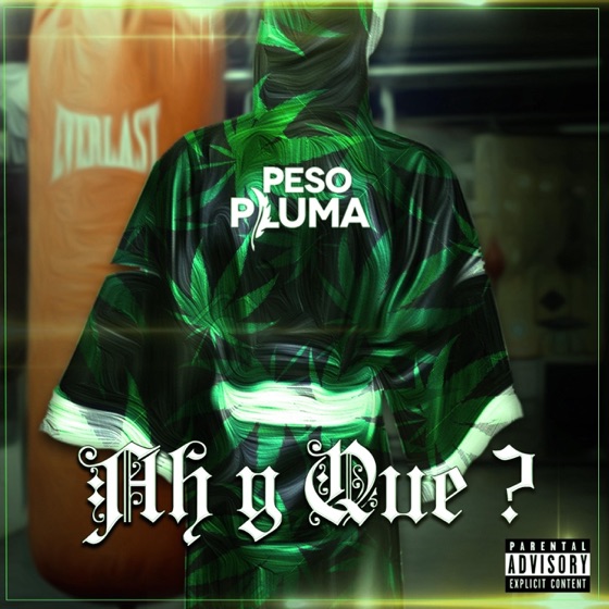 Cover artwork for Relajado Voy