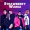 Strawberry Warga - Dushyant Kumar, Navv Inder & Swati Sharma lyrics