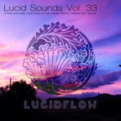 Lucid Sounds, Vol. 33 (A Fine and Deep Sonic Flow of Club House, Electro, Minimal and Techno) artwork