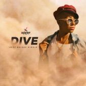 Dive: Dust Raiser Riddim - Single