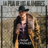 La Pua de los Alambres artwork