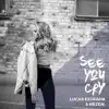 See You Cry (feat. Daniel Ceder) - Single album lyrics, reviews, download