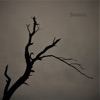 Senses - Single