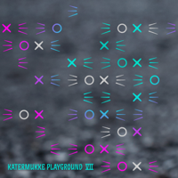 Dirty Doering - Katermukke Playground VII artwork