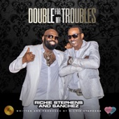 Double for My Troubles artwork
