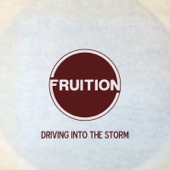 Fruition - Driving into the Storm