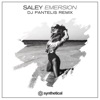 Emersion (DJ Pantelis Remix) - Single