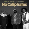 No Caliphates (feat. Talib Kweli) - Single