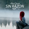 Sin Razón, 1990