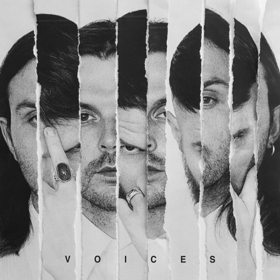 Cover artwork for Voices