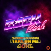 Gone (Take On Me) [feat. Basti Woods] artwork