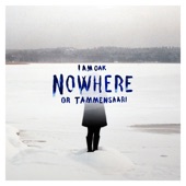 Nowhere or Tammensaari artwork