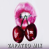 Zapateo Mix (feat. Dj Tremendo Mix) artwork