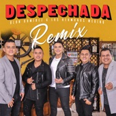 Despechada (Remix) artwork