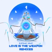 Love Is the Weapon (Sane Vigor Remix) artwork