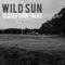 Coming Apart - Wild Sun lyrics