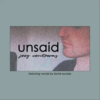 Unsaid (feat. David Socolar) - Single by Joey Contreras album reviews, ratings, credits