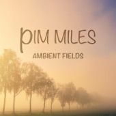 Ambient Fields - EP artwork