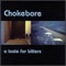 It Could Ruin Your Day - Chokebore lyrics