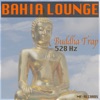 Buddha Trap 528 Hz