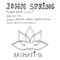 Lava Lava - John Spring lyrics