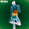 Bush - The Kingdom  artwork